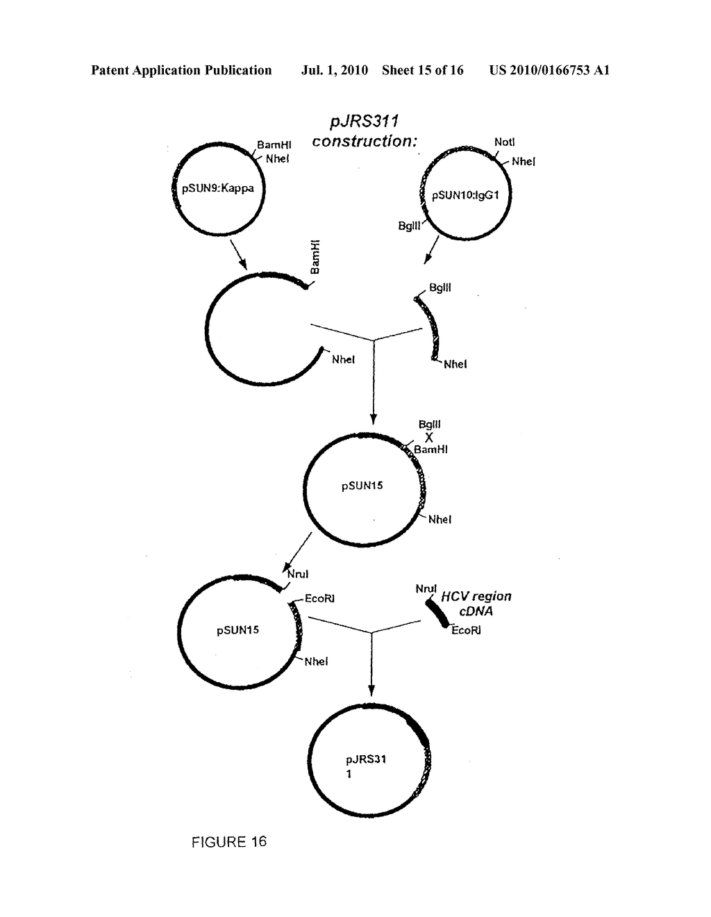HUMANIZED MONOCLONAL ANTIBODIES THAT PROTECT AGAINST SHIGA TOXIN INDUCED DISEASE - diagram, schematic, and image 16