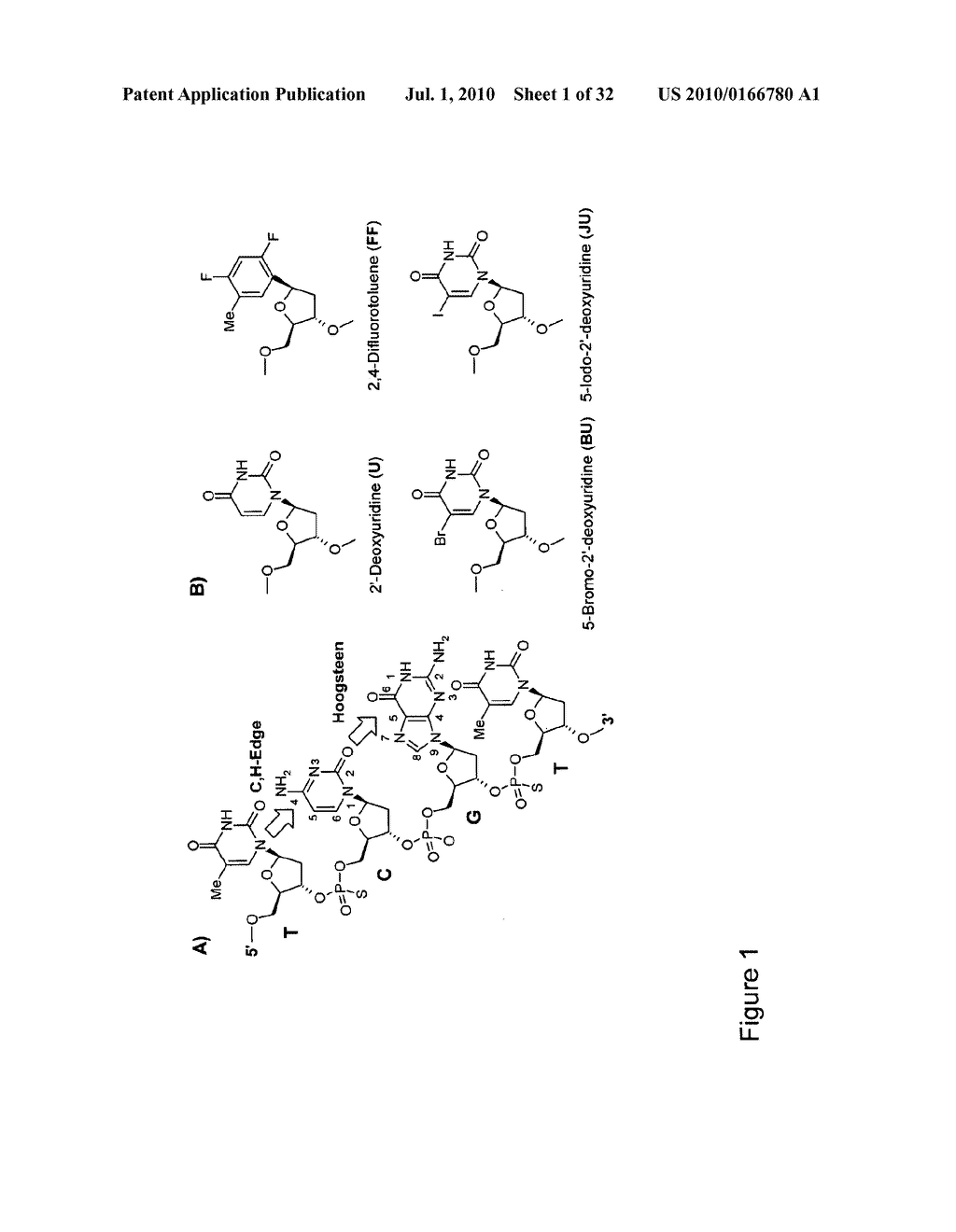 CpG Oligonucleotide Analogs Containing Hydrophobic T Analogs with Enhanced Immunostimulatory Activity - diagram, schematic, and image 02