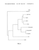 Gammaretrovirus associated with cancer diagram and image