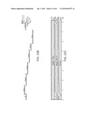 Gammaretrovirus associated with cancer diagram and image