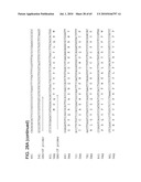 Gammaretrovirus associated with cancer diagram and image