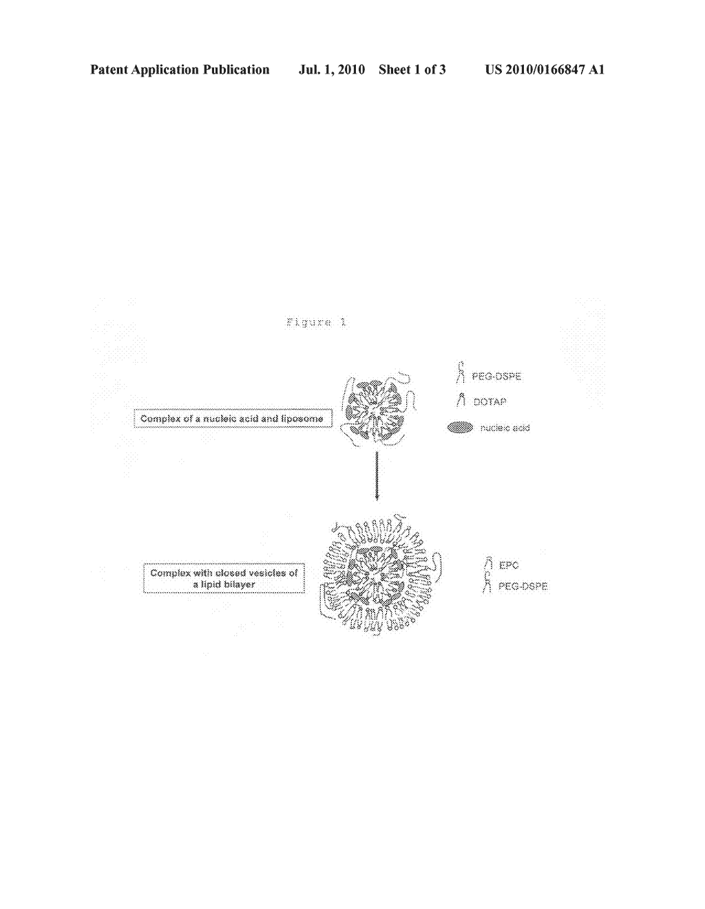 Method for coating fine particles with lipid membrane - diagram, schematic, and image 02