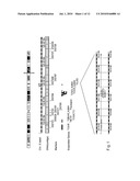 Method for treatment and diagnosis of glutamate dehydrogenase disorders diagram and image