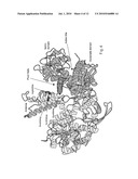 Method for treatment and diagnosis of glutamate dehydrogenase disorders diagram and image