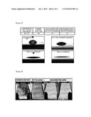 Self-Cleaning Article and a Process for Preparing the Same diagram and image