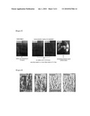 Self-Cleaning Article and a Process for Preparing the Same diagram and image