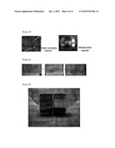 Self-Cleaning Article and a Process for Preparing the Same diagram and image