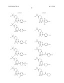 CHEMICALLY AMPLIFIED POSITIVE RESIST COMPOSITION diagram and image