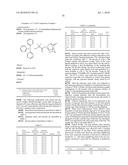 CHEMICALLY AMPLIFIED POSITIVE RESIST COMPOSITION diagram and image