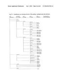 System and method for global historical database diagram and image