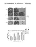 APPARATUS AND METHOD FOR THE PRESERVATION OF PANCREATIC TISSUE AND ISLET CELLS FOR TRANSPLANTATION diagram and image