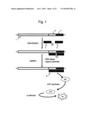 SEQUENCE ANALYSIS METHOD diagram and image