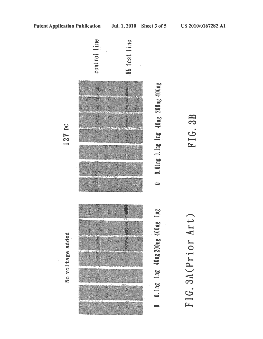 LATERAL-FLOW DEVICE AND METHOD TO ENHANCE DETECTION SIGNAL FOR CHARGED MOLECULAR TARGETS - diagram, schematic, and image 04