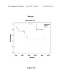 METHOD OF DETERMINING A CHEMOTHERAPEUTIC REGIME AND SURVIVAL EXPECTANCY FOR NON SMALL CELL LUNG CANCER BASED ON EGFR/CSF-1/CA IX EXPRESSION diagram and image