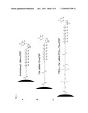 PHOSPHOLINK NUCLEOTIDES FOR SEQUENCING APPLICATIONS diagram and image