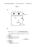 CONTROL OF INTRACELLULAR TARGET MOLECULE BY IP3 RECEPTOR-BINDING PROTEIN diagram and image