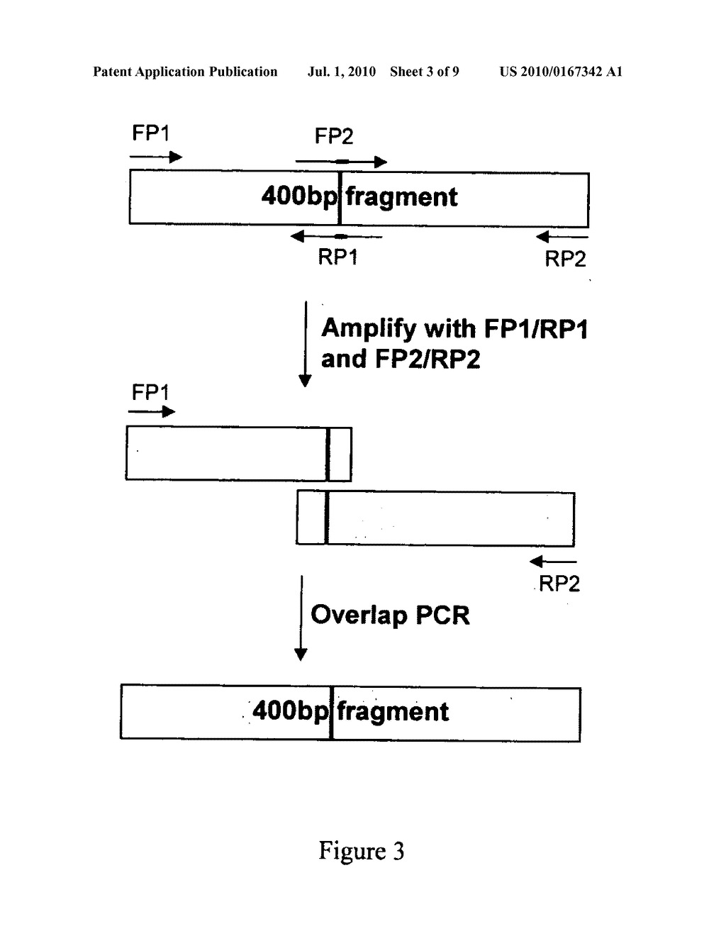METHOD OF PRODUCING BIOLOGICALLY ACTIVE POLYPEPTIDE HAVING INSULINOTROPIC ACTIVITY - diagram, schematic, and image 04