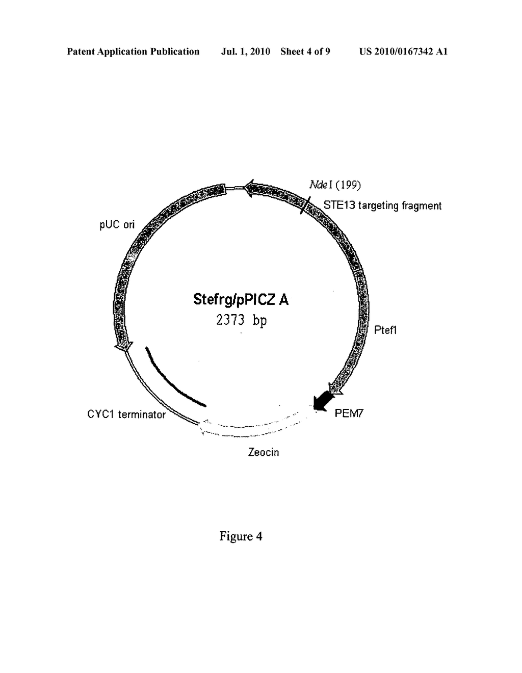 METHOD OF PRODUCING BIOLOGICALLY ACTIVE POLYPEPTIDE HAVING INSULINOTROPIC ACTIVITY - diagram, schematic, and image 05
