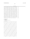 METHOD OF PRODUCING HETEROGENEOUS PROTEIN diagram and image