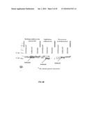 RNASE H-BASED ASSAYS UTILIZING MODIFIED RNA MONOMERS diagram and image