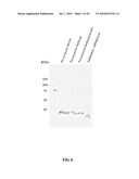 RNASE H-BASED ASSAYS UTILIZING MODIFIED RNA MONOMERS diagram and image