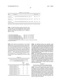 RNASE H-BASED ASSAYS UTILIZING MODIFIED RNA MONOMERS diagram and image