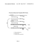 RNASE H-BASED ASSAYS UTILIZING MODIFIED RNA MONOMERS diagram and image