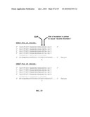 RNASE H-BASED ASSAYS UTILIZING MODIFIED RNA MONOMERS diagram and image