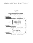 RNASE H-BASED ASSAYS UTILIZING MODIFIED RNA MONOMERS diagram and image