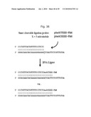 RNASE H-BASED ASSAYS UTILIZING MODIFIED RNA MONOMERS diagram and image