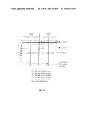 RNASE H-BASED ASSAYS UTILIZING MODIFIED RNA MONOMERS diagram and image