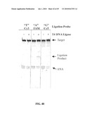 RNASE H-BASED ASSAYS UTILIZING MODIFIED RNA MONOMERS diagram and image