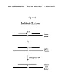 RNASE H-BASED ASSAYS UTILIZING MODIFIED RNA MONOMERS diagram and image