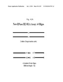 RNASE H-BASED ASSAYS UTILIZING MODIFIED RNA MONOMERS diagram and image