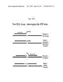 RNASE H-BASED ASSAYS UTILIZING MODIFIED RNA MONOMERS diagram and image