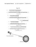 RNASE H-BASED ASSAYS UTILIZING MODIFIED RNA MONOMERS diagram and image