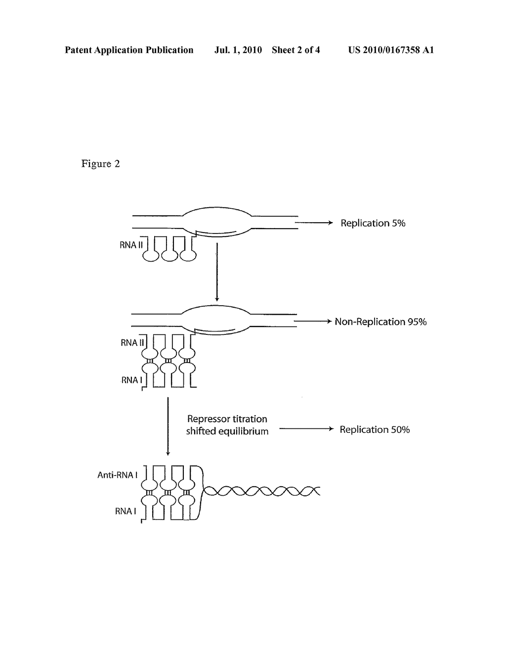 COMPOSITIONS AND PROCESSES FOR IMPROVED PLASMID DNA PRODUCTION - diagram, schematic, and image 03