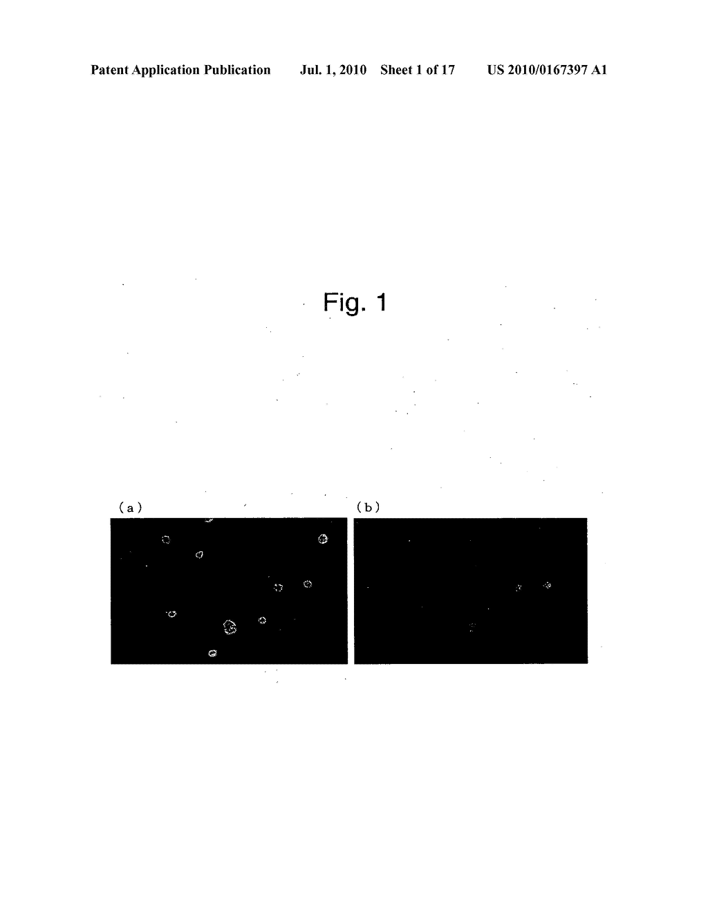 ENDOCRINE CELL LINES AND METHOD OF USING THE SAME - diagram, schematic, and image 02