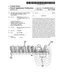 METHOD AND APPARATUS FOR CONTROL OF A FLEXIBLE MATERIAL USING MAGNETISM diagram and image