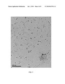 NANO-SCALE CATALYSTS diagram and image