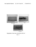 NANO-SCALE CATALYSTS diagram and image