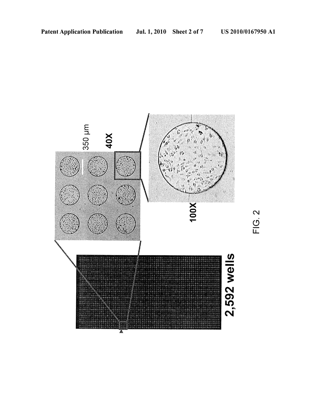 MICROARRAY CHIP AND METHOD OF FABRICATING FOR THE SAME - diagram, schematic, and image 03