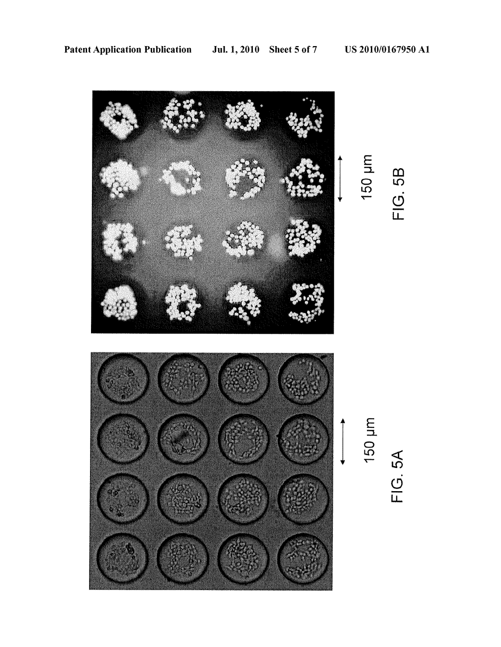 MICROARRAY CHIP AND METHOD OF FABRICATING FOR THE SAME - diagram, schematic, and image 06