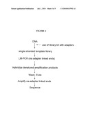 SUPPRESSION OF SECONDARY CAPTURE IN MICROARRAY ASSAYS diagram and image