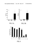 Prolyl Endopeptidase Inhibitors For Reducing or Preventing Neutrophilic Inflammation diagram and image