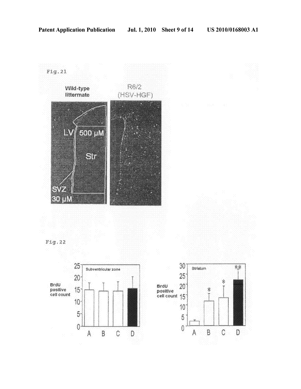 Agent for Treating Polyglutamine Aggregation-Caused Disease or Suppressing Onset Thereof - diagram, schematic, and image 10