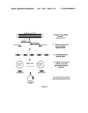 PHa1B TOXIN, cDNA of Pha1B TOXIN GENE, PHARMACEUTICAL COMPOSITION CONTAINING PHa1B TOXIN, PROCESS AND PRODUCT diagram and image