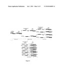 PHa1B TOXIN, cDNA of Pha1B TOXIN GENE, PHARMACEUTICAL COMPOSITION CONTAINING PHa1B TOXIN, PROCESS AND PRODUCT diagram and image