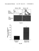 Stroke-generated angiogenesis enhancers and uses thereof diagram and image