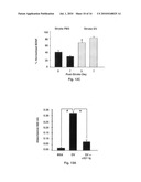 Stroke-generated angiogenesis enhancers and uses thereof diagram and image